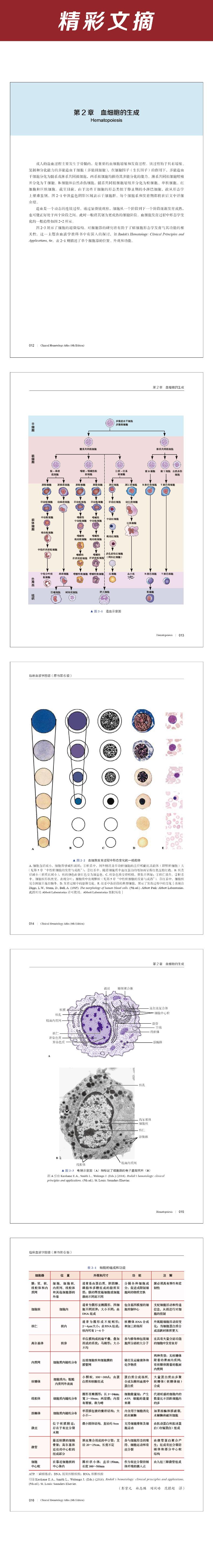 临床血液学图谱