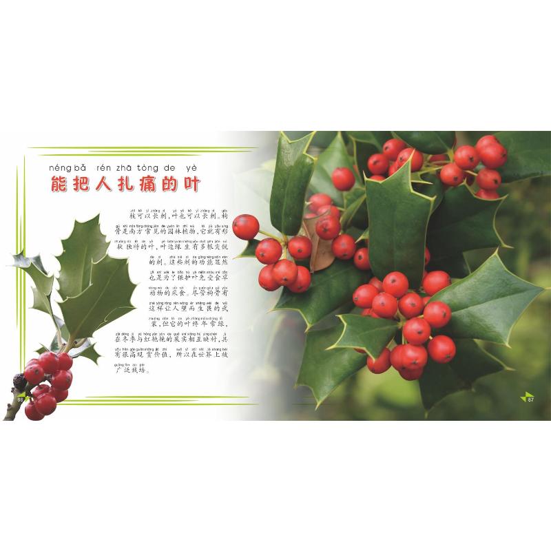我的第一本植物知识大全
