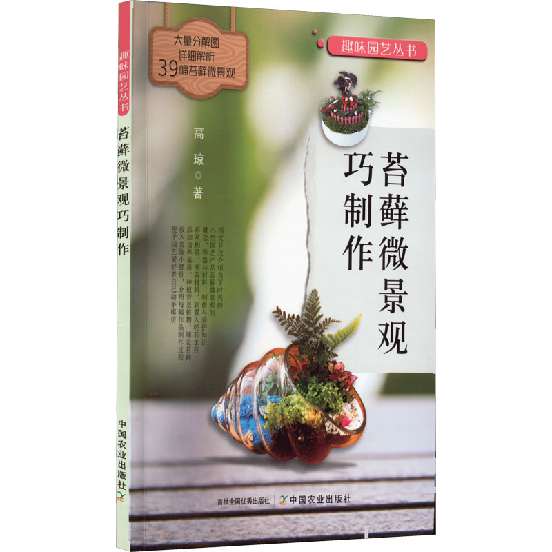 苔藓微景观巧制作