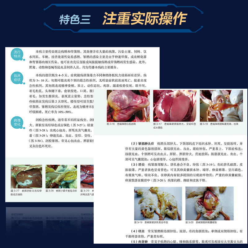 鹅病诊治实操图解 兽医