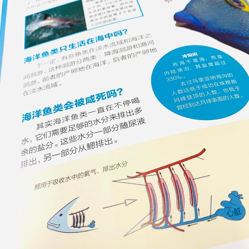 互动的自然 少儿科普