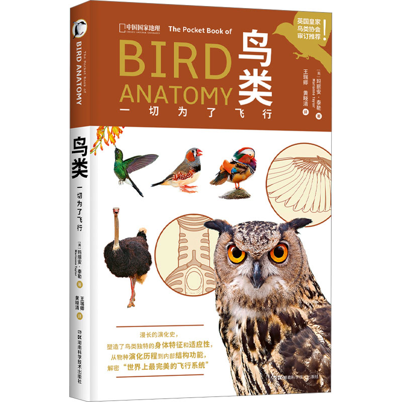 鸟类 一切为了飞行 生物科学
